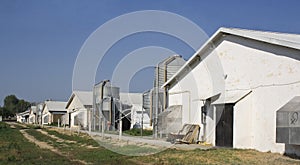 Chicken farms and silos photo