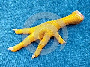 Chicken feet claws paws hen foot raw food ingredient feng zhua, phoenix claws, ji zhua, pe galinha, patas pollo photo photo