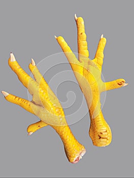 Chicken feet claws paws hen foot raw food ingredient feng zhua, phoenix claws, ji zhua, pe galinha, patas pollo photo