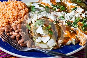 Chicken Filled Green Enchiladas, Traditional Mexican Meal