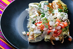 Chicken Filled Green Enchiladas, Traditional Mexican Meal