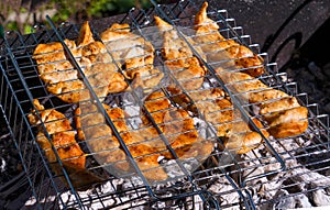 Chicken fillet fried on grill-grill on a Sunny summer day. Diet. The fight against excess weight.