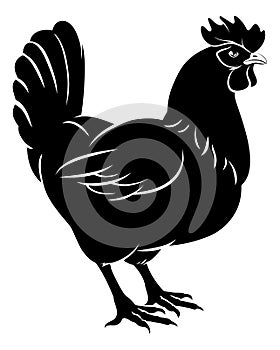Chicken food illustration