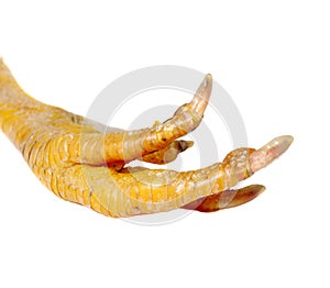 Chicken foot