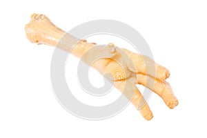 Chicken foot