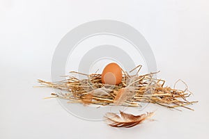 chicken fresh eggs in the straw nest.