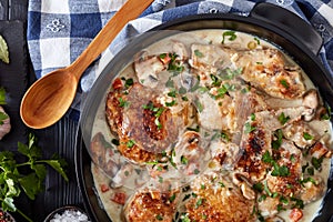 Chicken fricassee in a dutch oven, flat lay