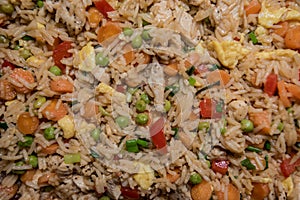 Chicken Fried Rice Close Up