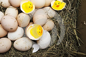 Chicken, goose, duck eggs, chickens lie on the hay, chikens coming out of a brown eggs