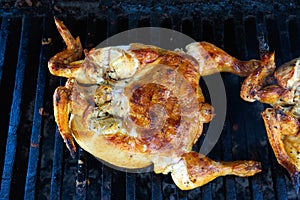 Chicken grilled barbecue in Mexico