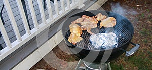 Chicken Grilling on BBQ Grill