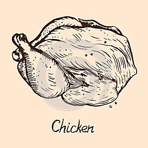 Chicken, hand drawn doodle, simple sketch in pop art style