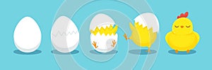 Chicken hatching. Cracked chick egg, hatch eggs and hatched easter chicks cartoon vector illustration