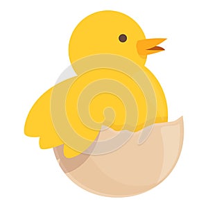 Chicken hatching at easter icon cartoon vector. Chick baby