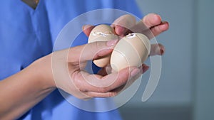 Chicken hatching from egg at a farm. Farmer holds an egg. 4K.