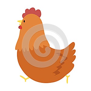 Chicken hen cute cartoon vector