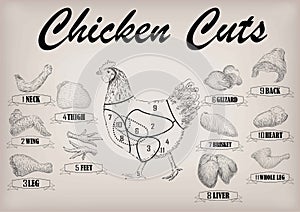 Chicken hen cutting meat scheme parts carcass brisket neck wing