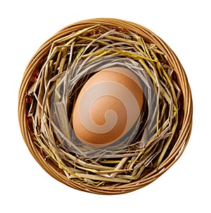 Chicken or hen egg on straw in wicker basket