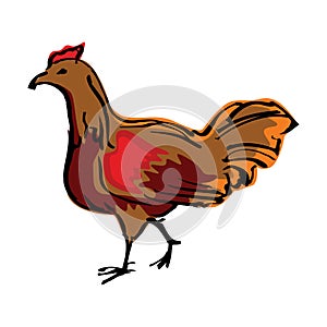 Chicken hen vector illustration isolated on a white background in EPS10