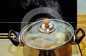Chicken homemade broth with meat on bone and vegetables in a metal on gas stove