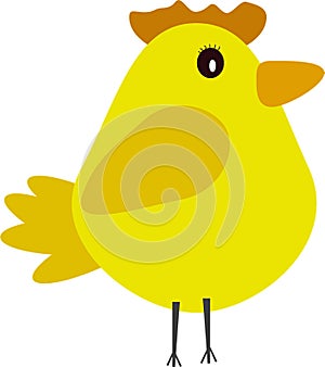 Chicken illustration