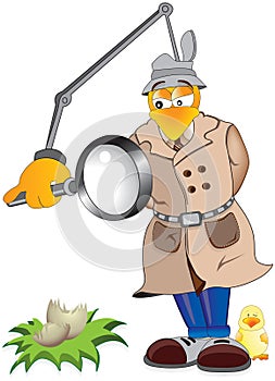 Chicken inspector