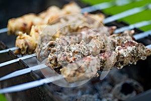 Chicken kabobs grilled on metal skewers outdoors