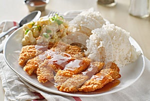 Chicken katsu hawaiian bbq plate with gravy and rice