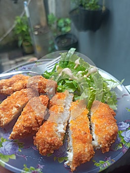 Chicken katsu with salad