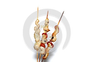 Chicken kebab isolated