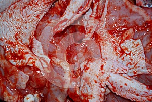 Chicken with ketchup