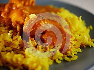 Chicken Korma curry with Pilau rice close up shot