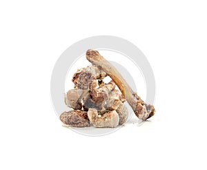 Chicken Leftovers Isolated, Cleanly Gnawed Bones, Gnawed Bare Bones after Dinner, Eaten Clean Lunch photo