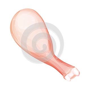 Chicken leg, raw drumstick top view in cartoon style isolated on white background. Bird meat uncoocked, ingredient