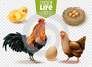 Chicken Life Transparent Set