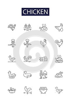 Chicken line vector icons and signs. Poultry, Fowl, Roast, Hen, cluck, wing, Drumstick, Coop outline vector illustration