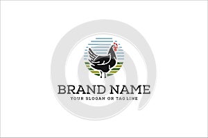 Chicken logo design vector