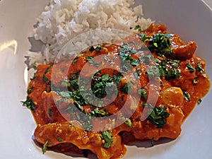 Chicken massala with rice on a plate photo