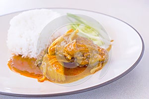 Chicken massaman curry with rice