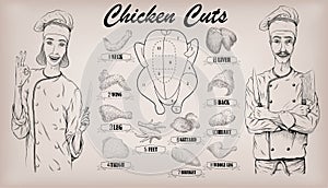 Chicken meat carcass cut parts chops info graphics scheme sign p