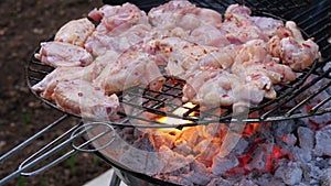 Chicken meat cooking on a charcoal barbecue grill.