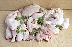 Chicken meat