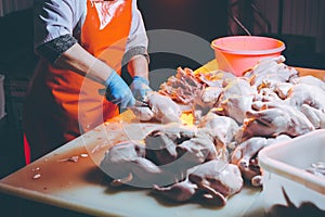 Chicken meat production