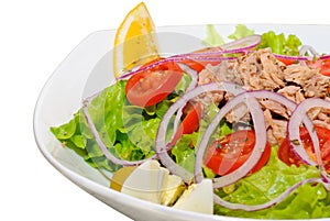 Chicken meat salad