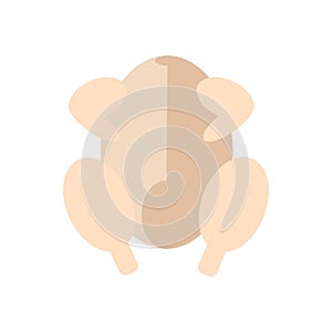 Chicken meat turkey Vector isolated on a white background