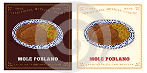 Chicken with Mexican Mole Poblano sauce classic dish