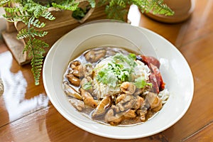 Chicken and mushroom sauce over rice