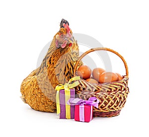 Chicken near a basket with eggs and gifts