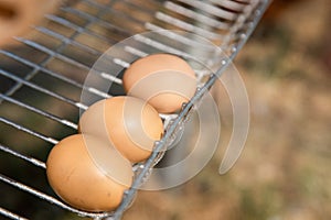 Chicken in the nest, Thai small farm