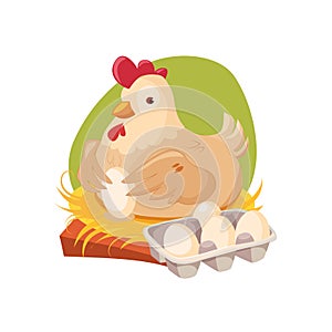 Chicken Nesting Laying Fresh Eggs, Farm And Farming Related Illustration In Bright Cartoon Style
